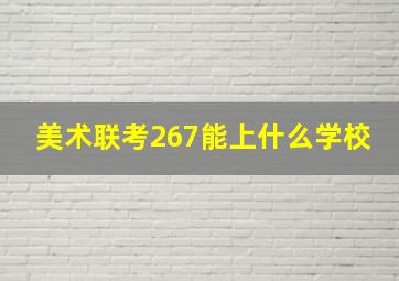 美术联考267能上什么学校