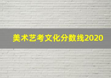 美术艺考文化分数线2020