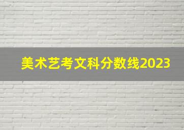 美术艺考文科分数线2023