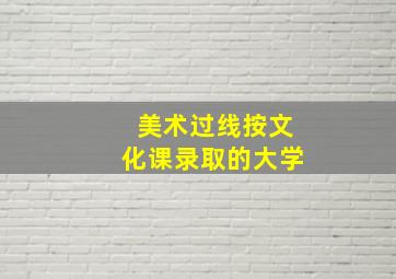 美术过线按文化课录取的大学