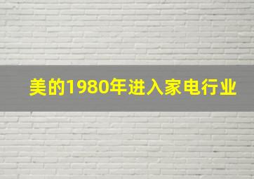 美的1980年进入家电行业