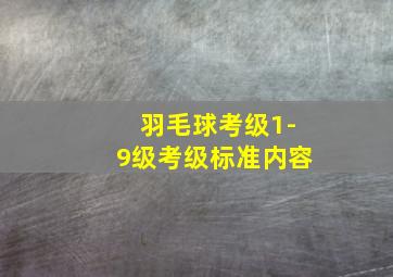 羽毛球考级1-9级考级标准内容