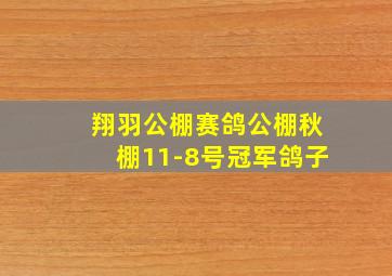 翔羽公棚赛鸽公棚秋棚11-8号冠军鸽子