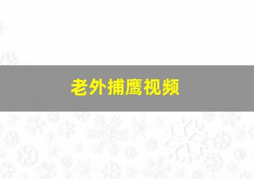 老外捕鹰视频