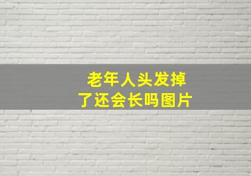 老年人头发掉了还会长吗图片