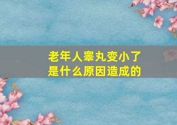 老年人睾丸变小了是什么原因造成的