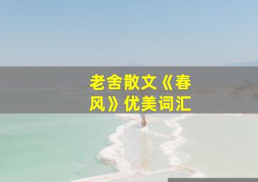 老舍散文《春风》优美词汇