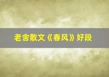 老舍散文《春风》好段