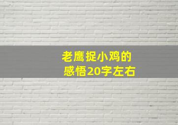 老鹰捉小鸡的感悟20字左右