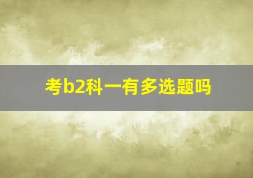 考b2科一有多选题吗