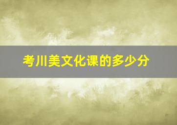 考川美文化课的多少分