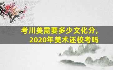 考川美需要多少文化分,2020年美术还校考吗