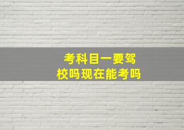 考科目一要驾校吗现在能考吗