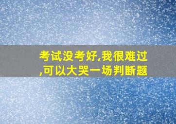 考试没考好,我很难过,可以大哭一场判断题