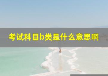 考试科目b类是什么意思啊