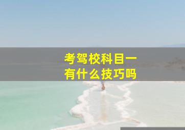 考驾校科目一有什么技巧吗