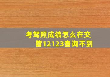 考驾照成绩怎么在交管12123查询不到