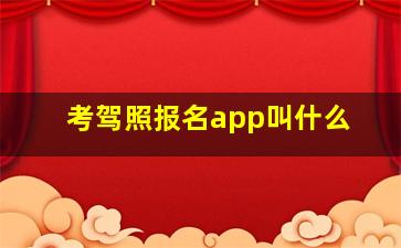 考驾照报名app叫什么