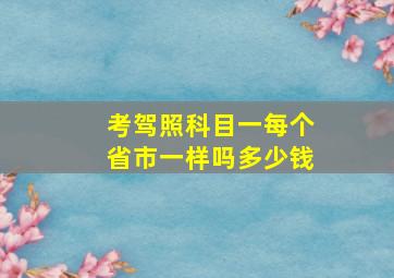 考驾照科目一每个省市一样吗多少钱