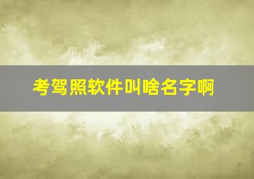 考驾照软件叫啥名字啊