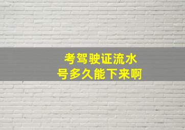 考驾驶证流水号多久能下来啊