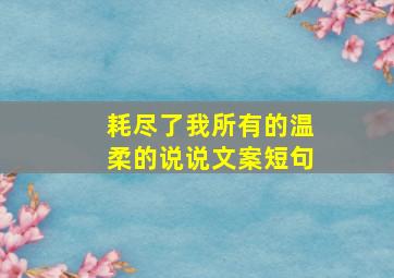 耗尽了我所有的温柔的说说文案短句