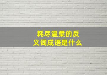 耗尽温柔的反义词成语是什么