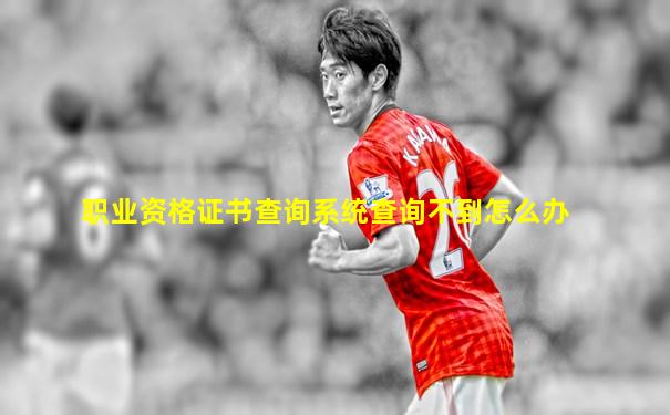 职业资格证书查询系统查询不到怎么办