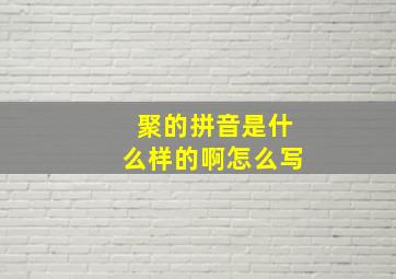 聚的拼音是什么样的啊怎么写