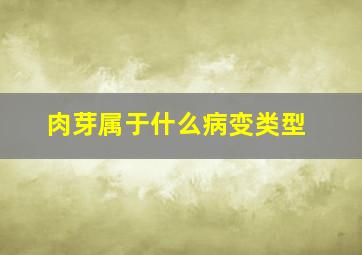 肉芽属于什么病变类型