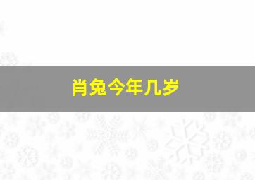 肖兔今年几岁