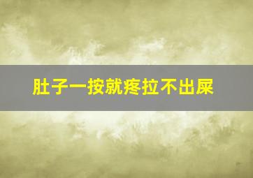 肚子一按就疼拉不出屎