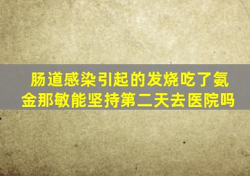 肠道感染引起的发烧吃了氨金那敏能坚持第二天去医院吗