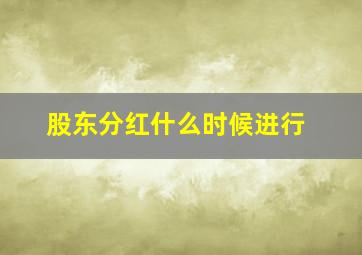 股东分红什么时候进行