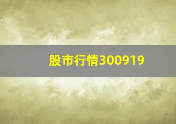 股市行情300919