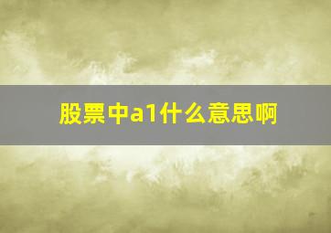 股票中a1什么意思啊