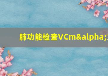 肺功能检查VCmαX