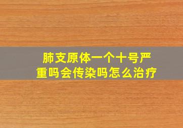 肺支原体一个十号严重吗会传染吗怎么治疗