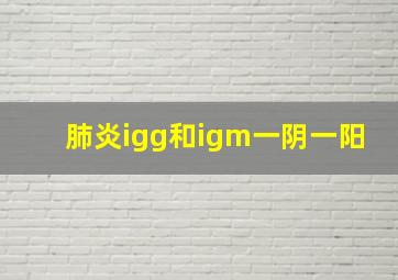 肺炎igg和igm一阴一阳