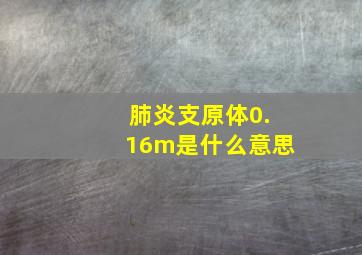 肺炎支原体0.16m是什么意思