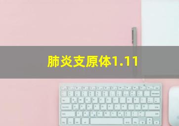 肺炎支原体1.11