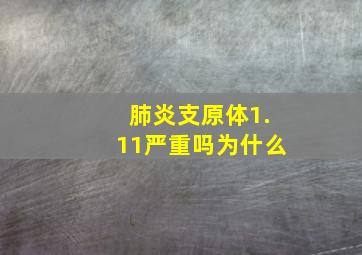 肺炎支原体1.11严重吗为什么