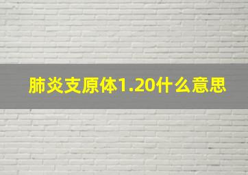 肺炎支原体1.20什么意思