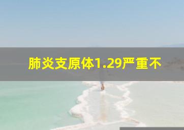 肺炎支原体1.29严重不