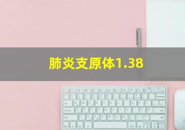 肺炎支原体1.38