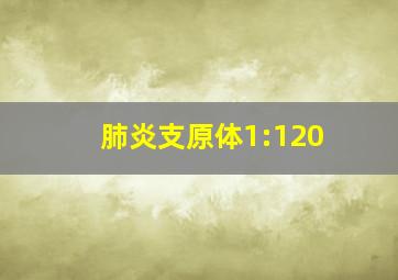 肺炎支原体1:120