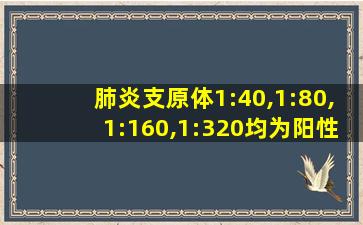 肺炎支原体1:40,1:80,1:160,1:320均为阳性