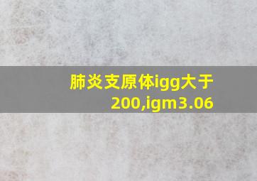 肺炎支原体igg大于200,igm3.06