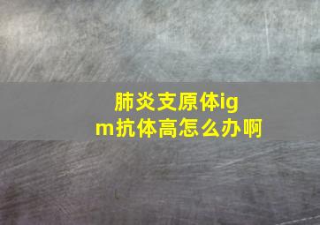 肺炎支原体igm抗体高怎么办啊