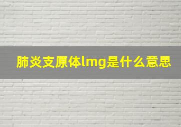 肺炎支原体lmg是什么意思